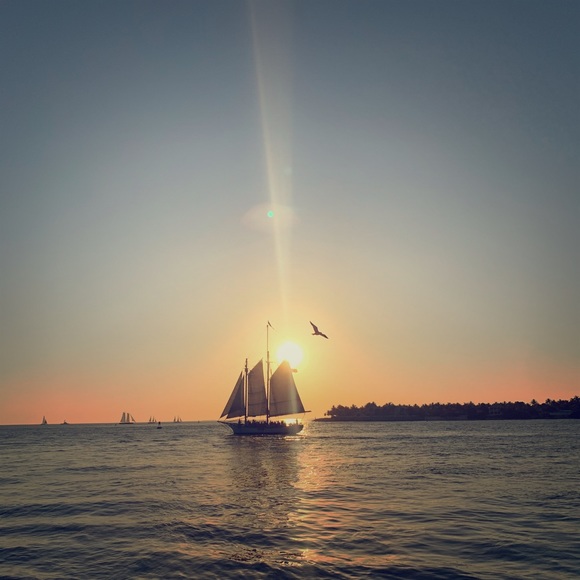 Meet your Posher, Adriana - Picture 1 of 1